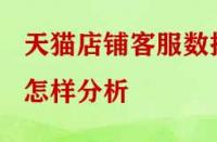 天貓店鋪客服數據怎樣分析？