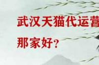 武漢天貓代運營那家好？