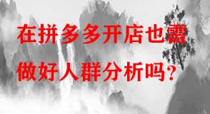 拼多多代運(yùn)營(yíng)