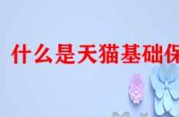 什么是天貓基礎(chǔ)保障？它的作用是什么？