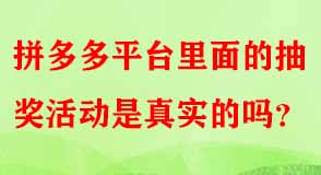 拼多多代運營