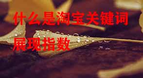 淘寶代運營