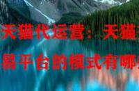 天貓代運營：天貓交易平臺的模式有哪些？