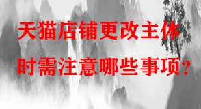 天貓代運營