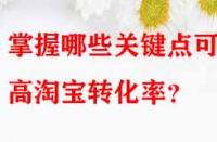 掌握哪些關鍵點可提高淘寶轉化率？