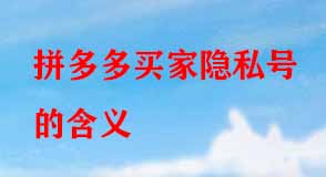 拼多多代運營