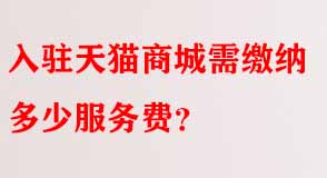 天貓代運營