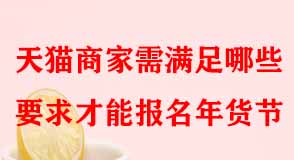 天貓代運營