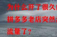 為什么開(kāi)了很久的拼多多老店突然沒(méi)流量了？