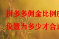 拼多多傭金比例應設置為多少才合適？