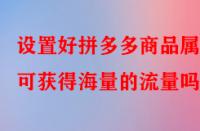 設(shè)置好拼多多商品屬性可獲得海量的流量嗎？
